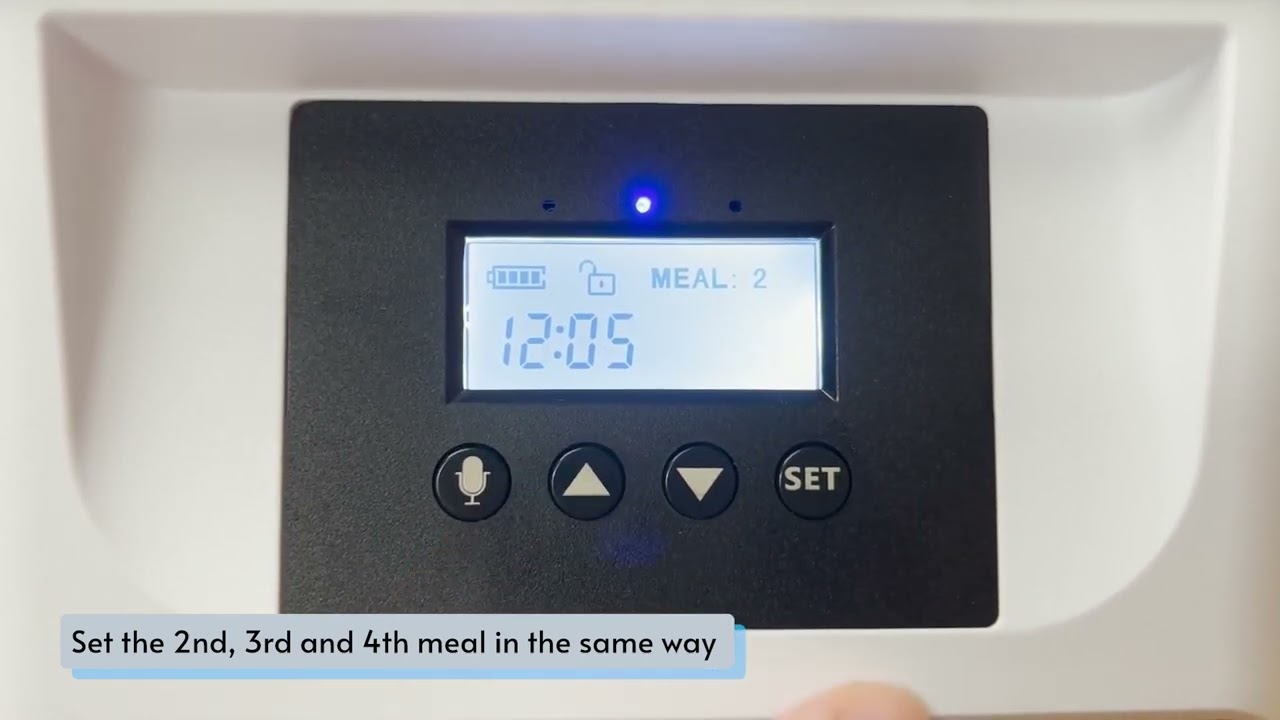 An application scenario or product detail of wuipet automatic cat feeder - Image 7