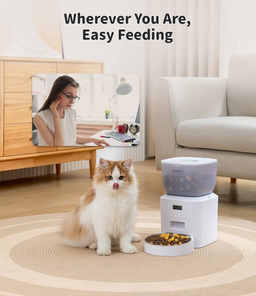 An application scenario or product detail of wuipet automatic cat feeder - Image 20