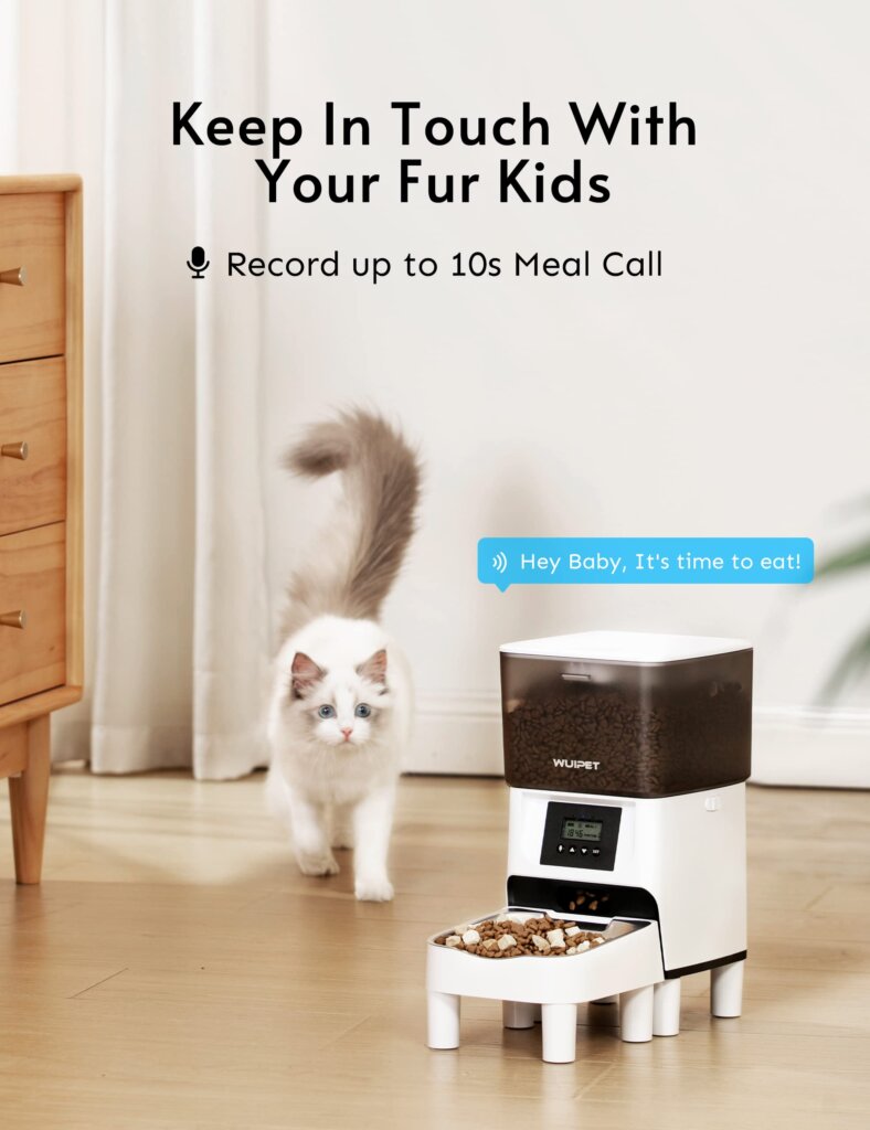Featured image for the wuipet automatic cat feeder guide