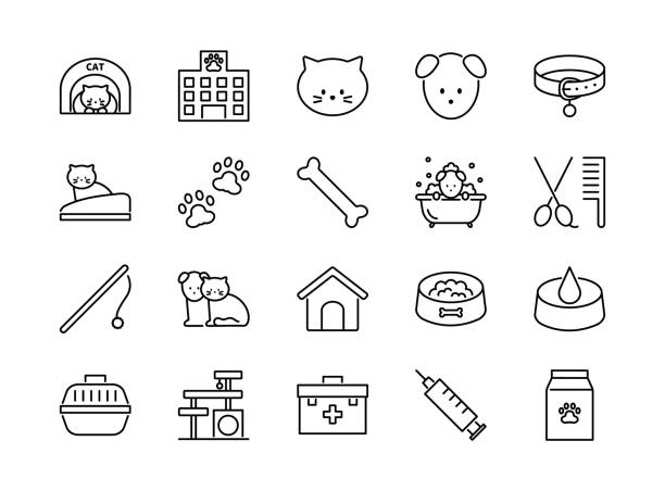 accesories cats water manufacturing details