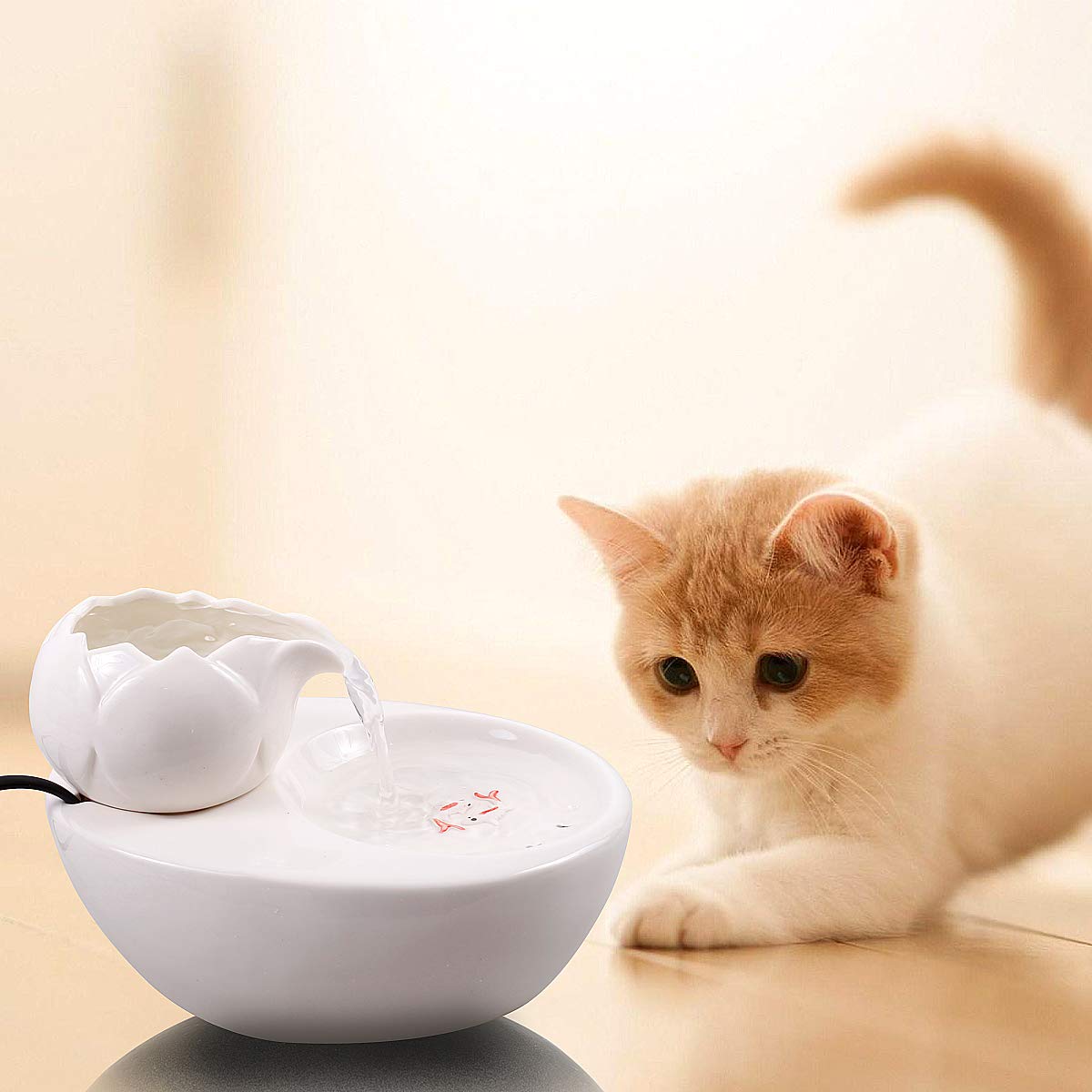 amazon cat water dispenser manufacturing details