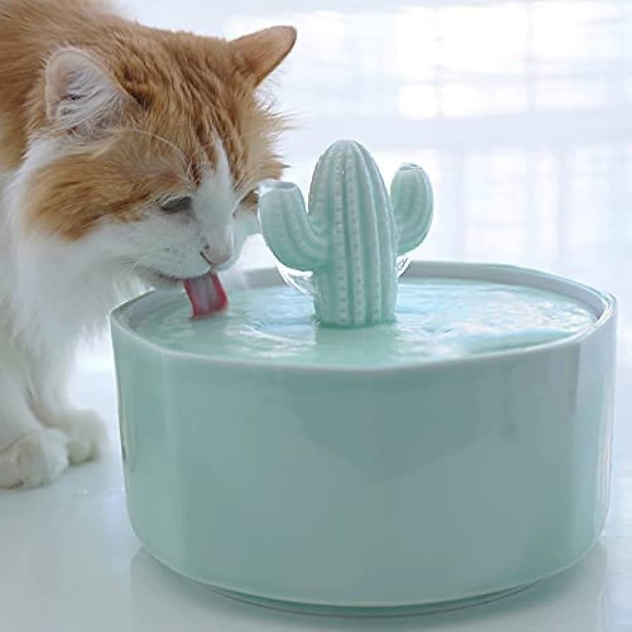 amazon cat water dispenser manufacturing details