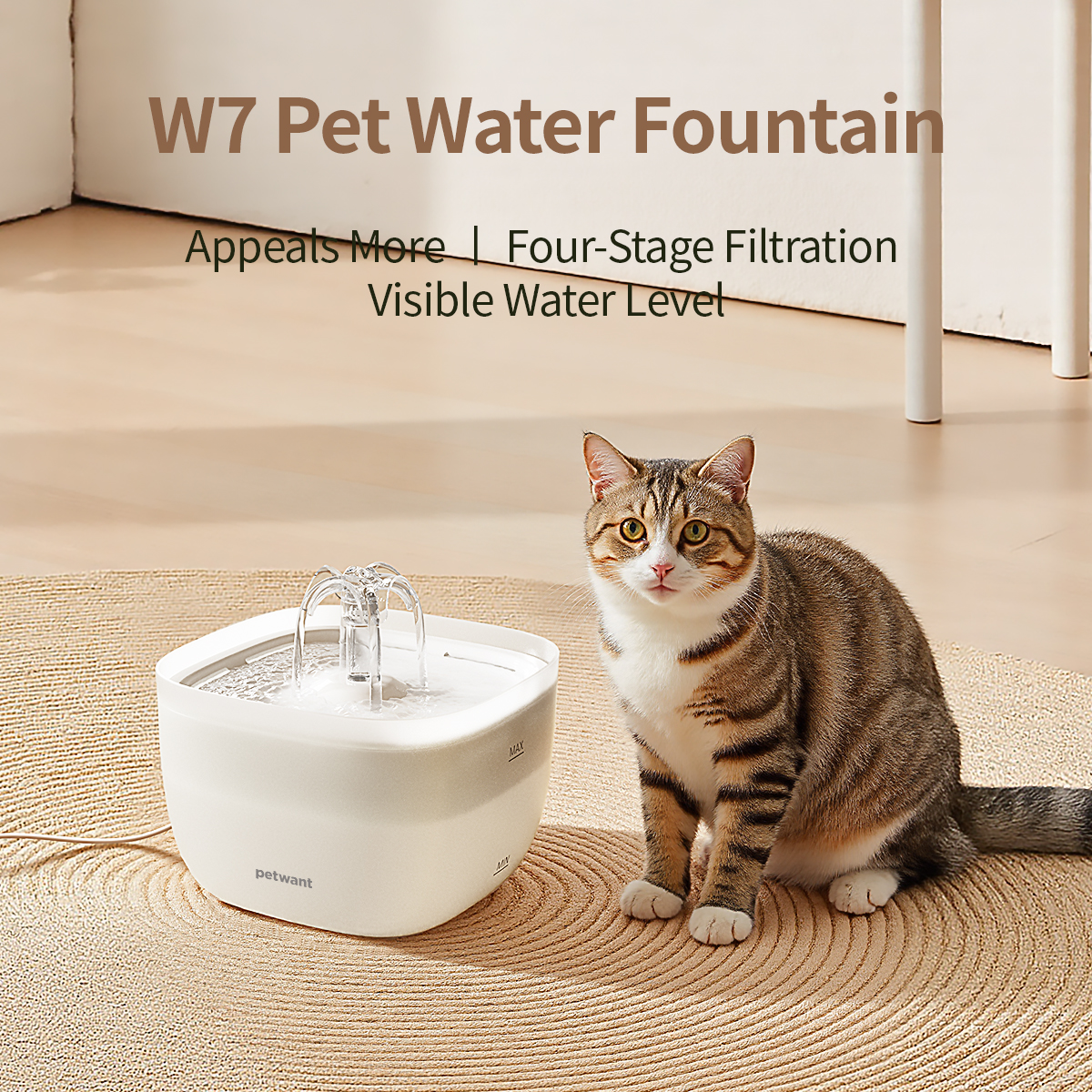 are stainless steel water fountains safe for cats manufacturing details