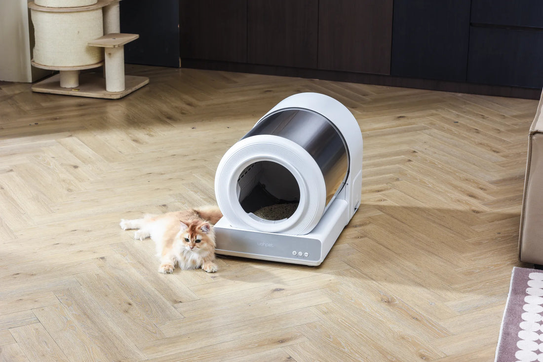 auto cat litter box self cleaning 2025 manufacturing details