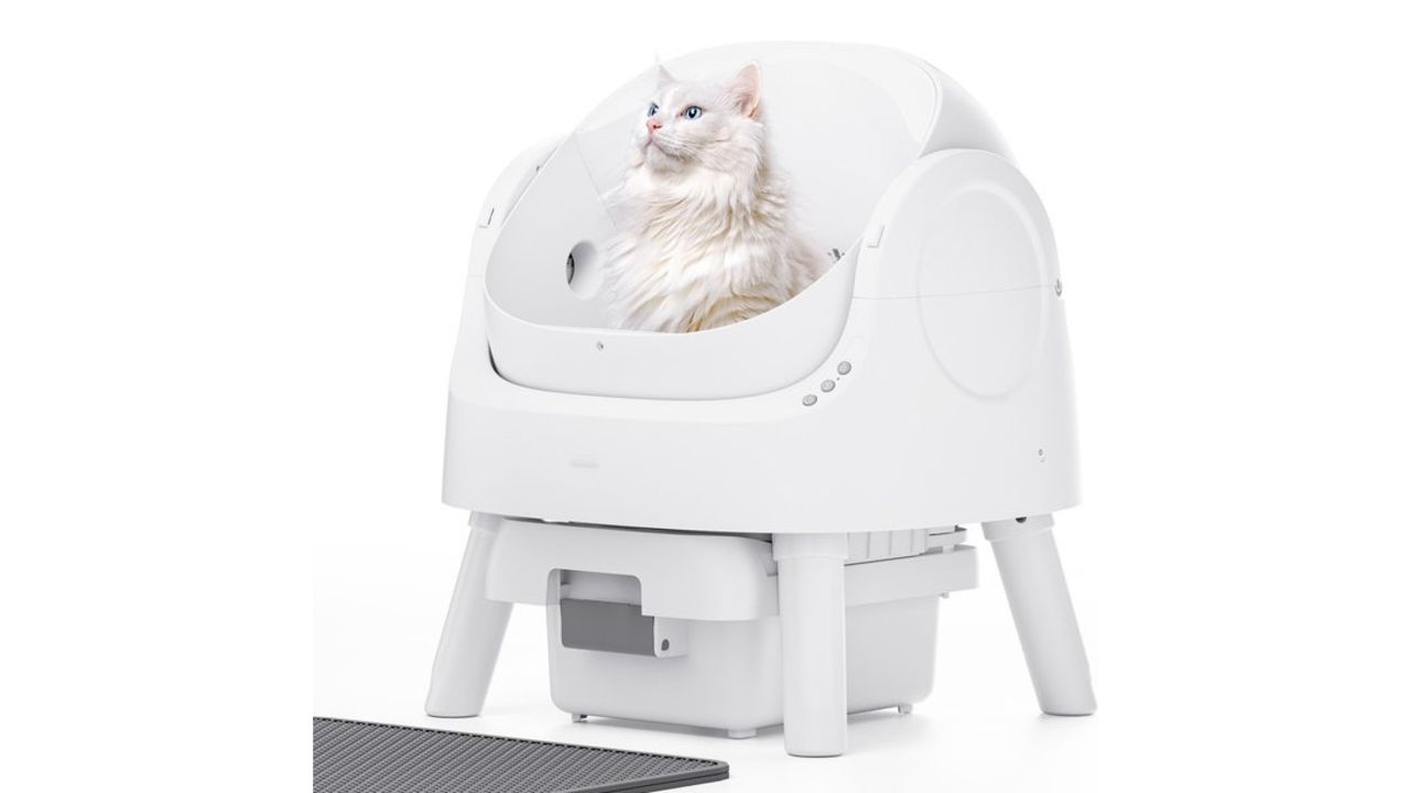 automatic litter box business opportunities manufacturing details