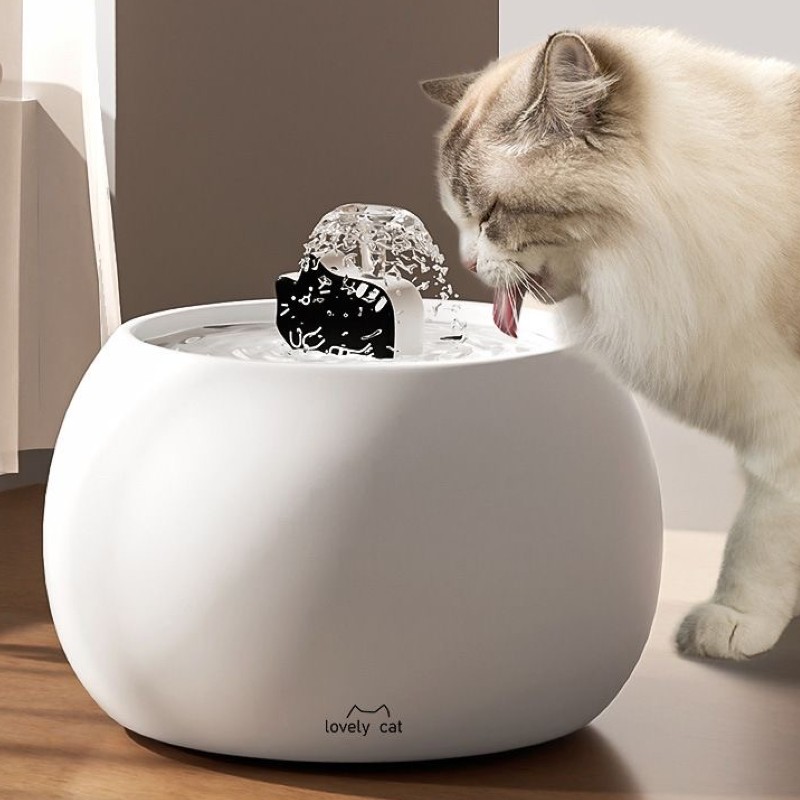 automatic water fountain for cats manufacturing details
