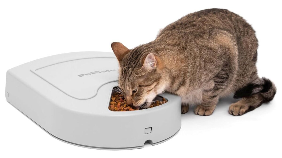 best cat automatic feeder OEM Manufacturer
