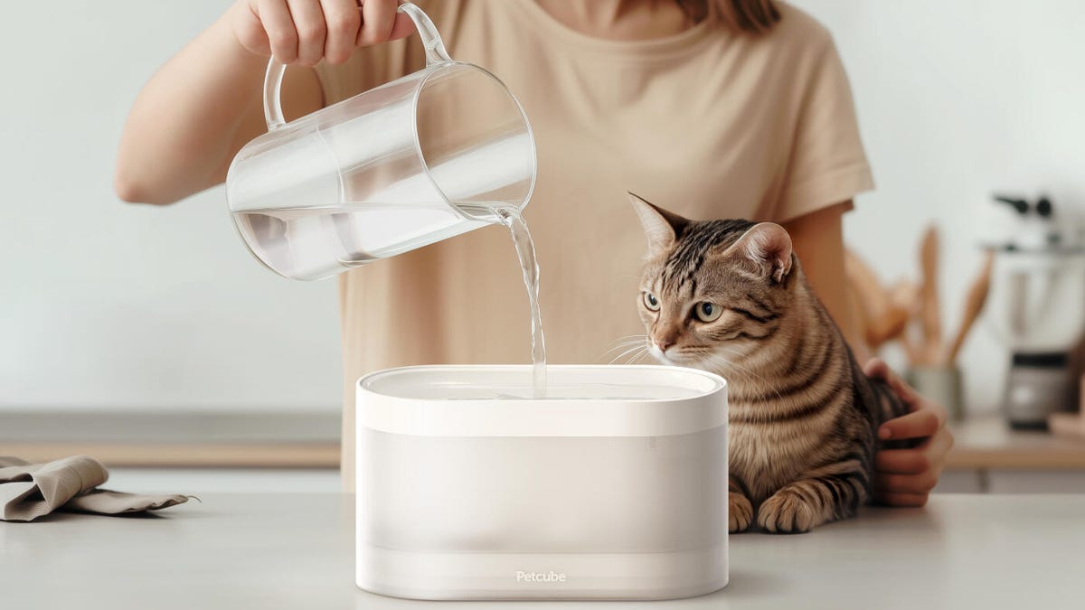 best cat fountain 2025 manufacturing details