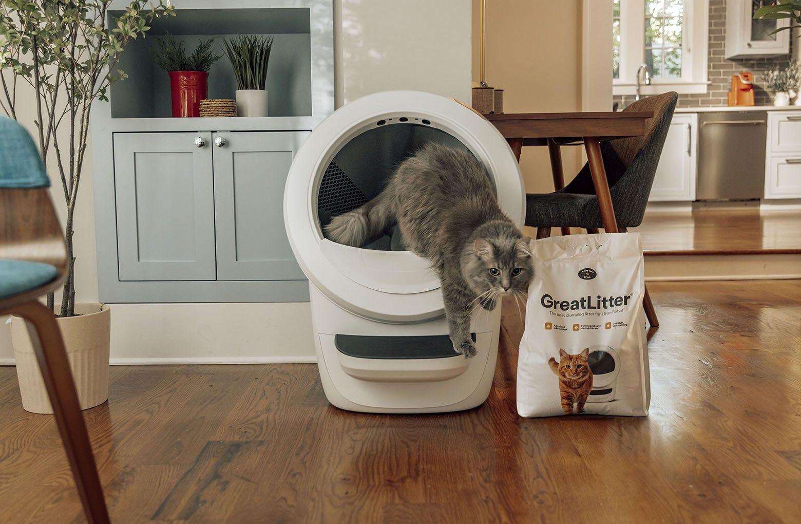 best cat litter for automatic litter boxes manufacturing details