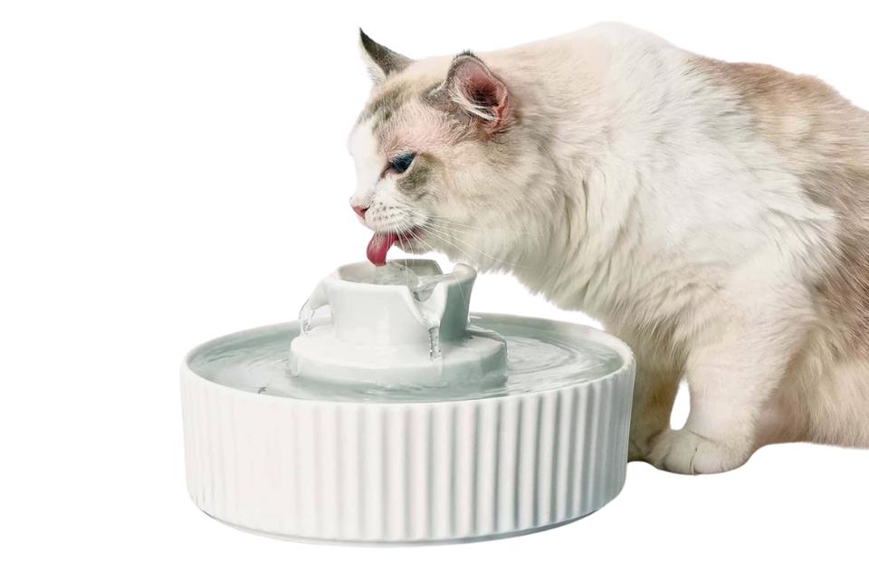 best kitty water fountains manufacturing details