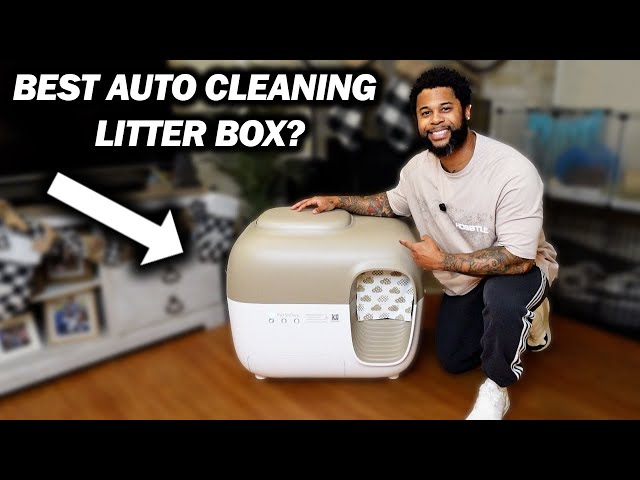 best litter for petsnowy manufacturing details