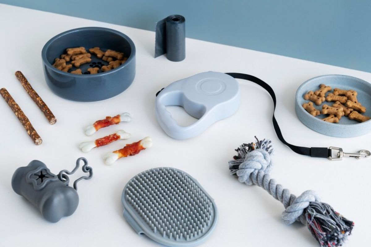 best profitable pet business ideas OEM Manufacturer