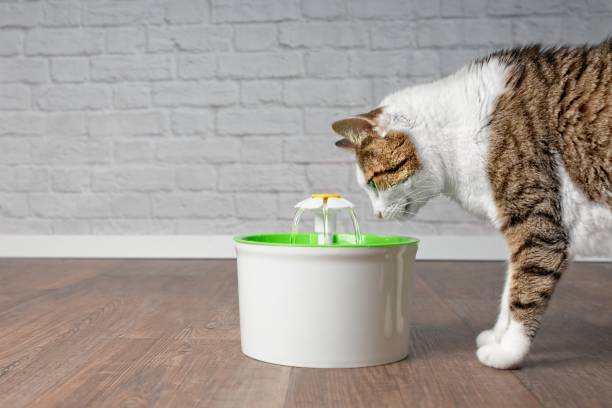 cat drinking fountains manufacturing details