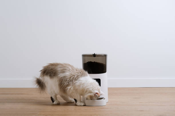 cat feeder electronic manufacturing details