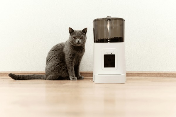 cat feeder electronic manufacturing details