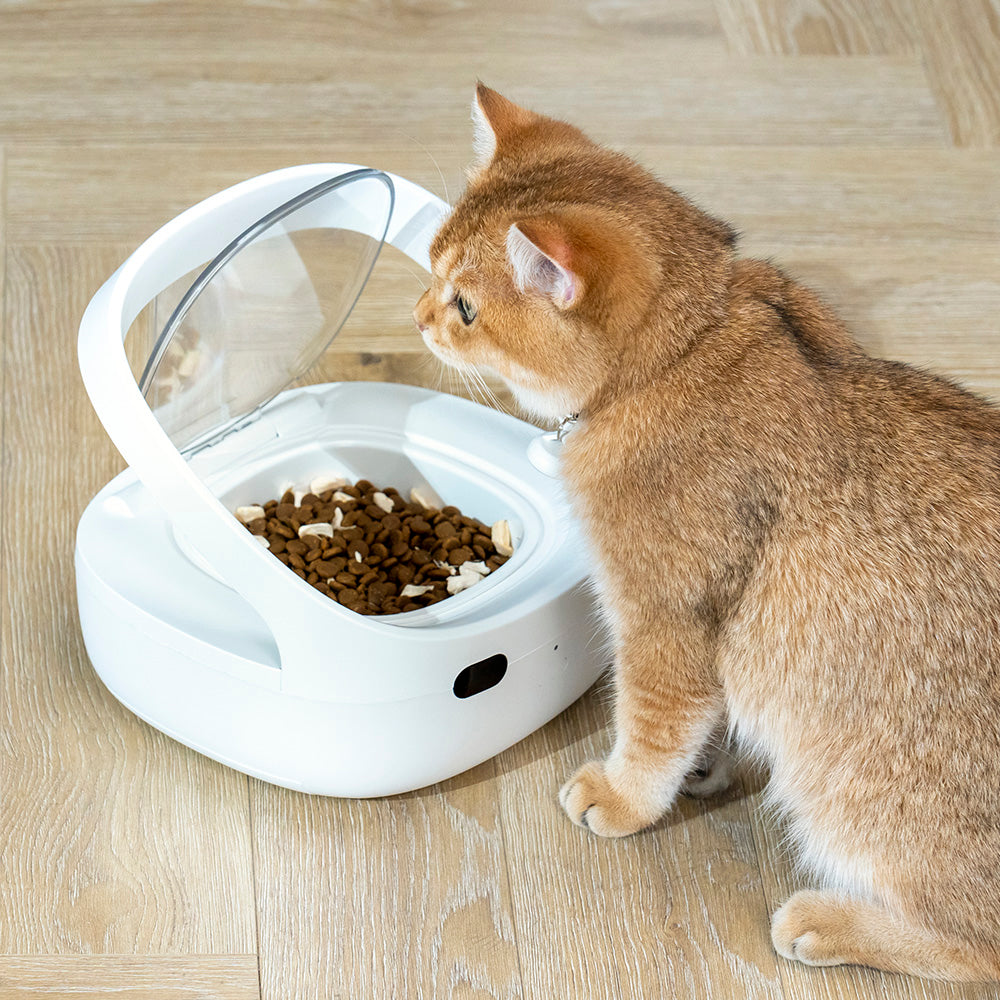 cat feeder that recognizes cat manufacturing details