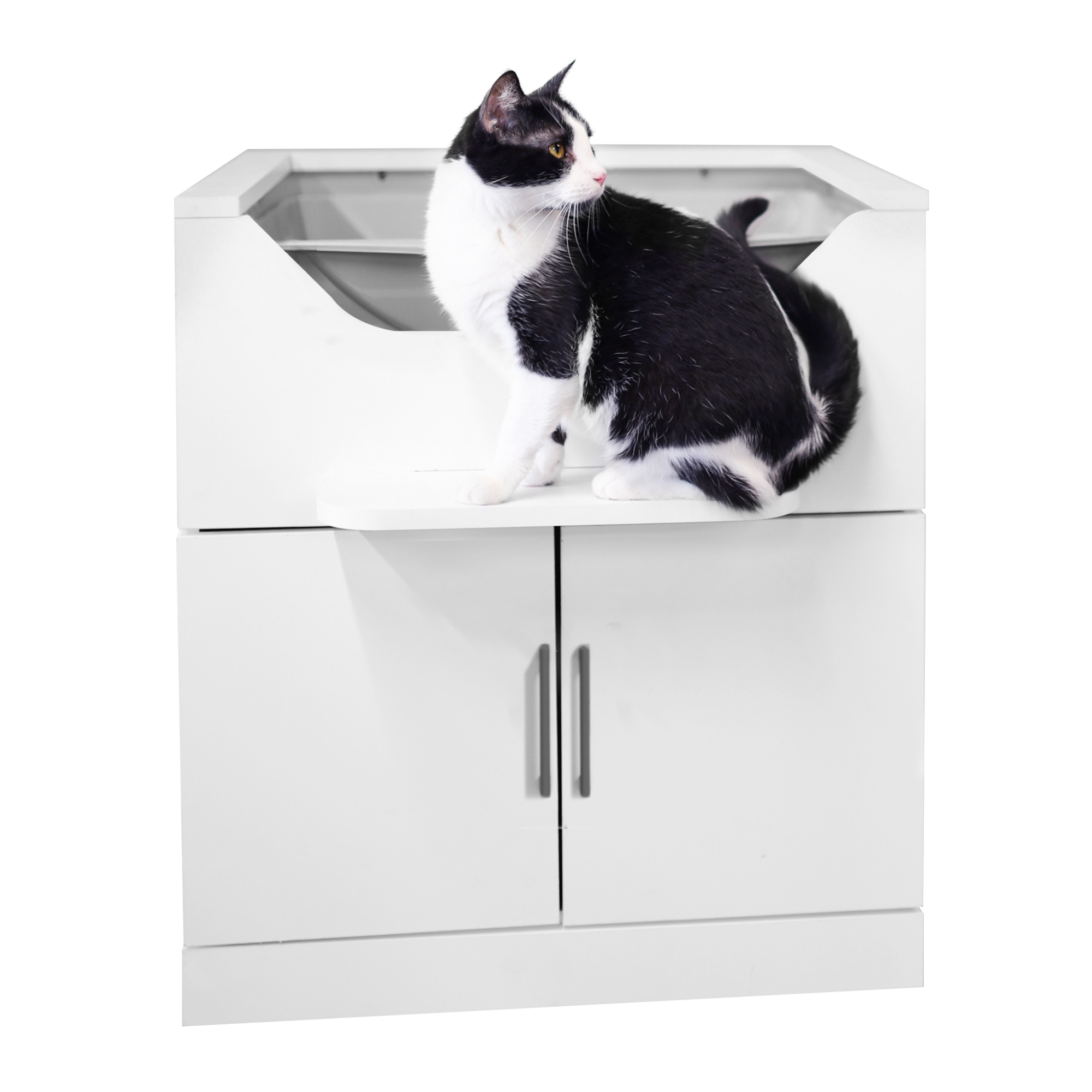 cat litter dog proof manufacturing details