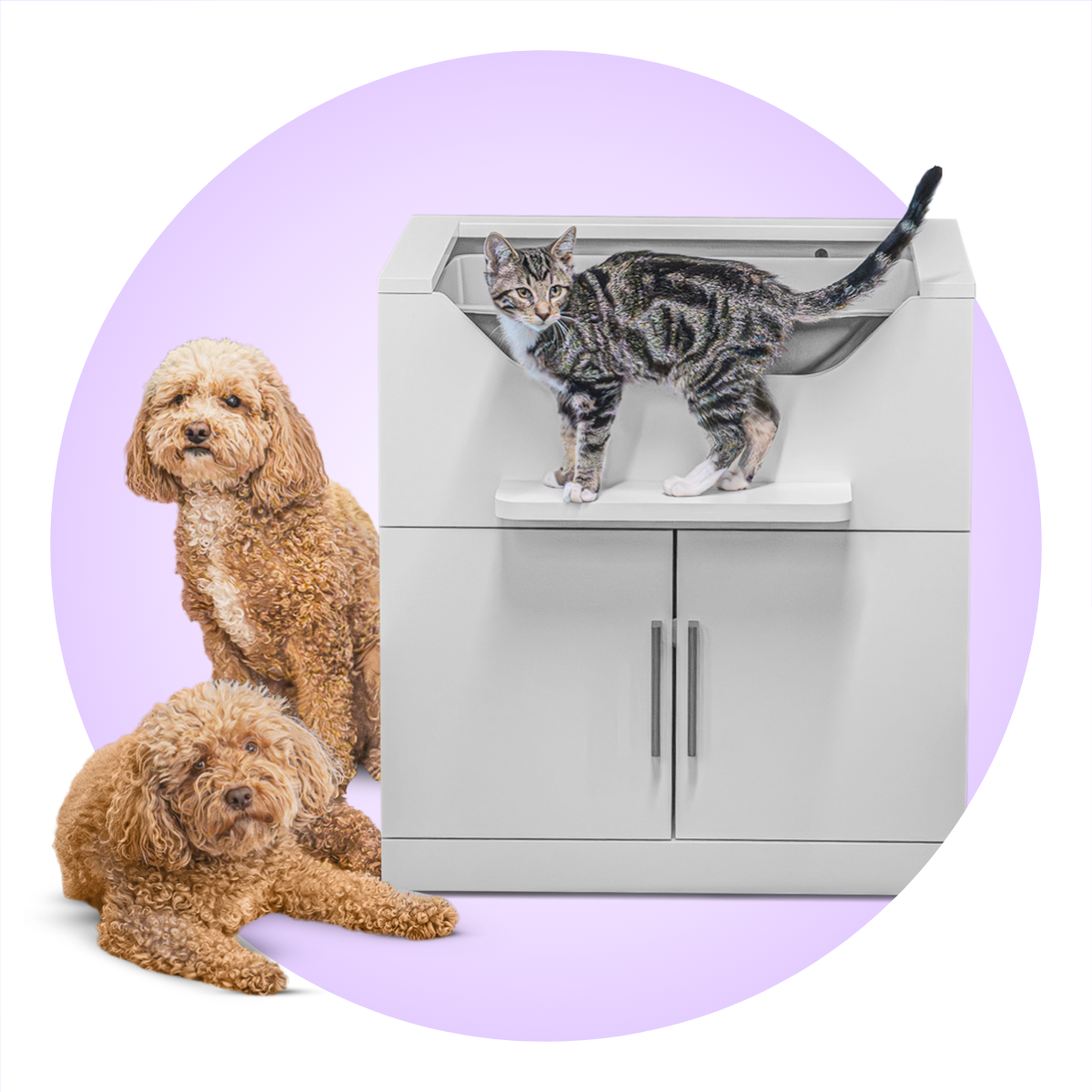 cat litter dog proof manufacturing details