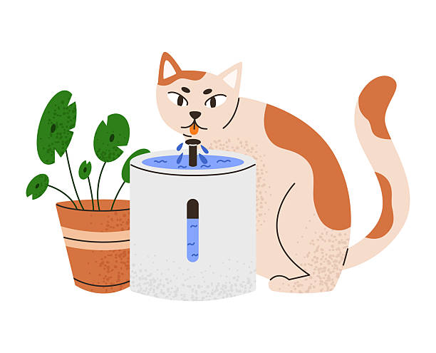 cat water manufacturing details
