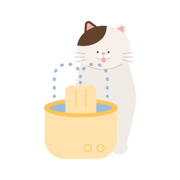 cat water manufacturing details