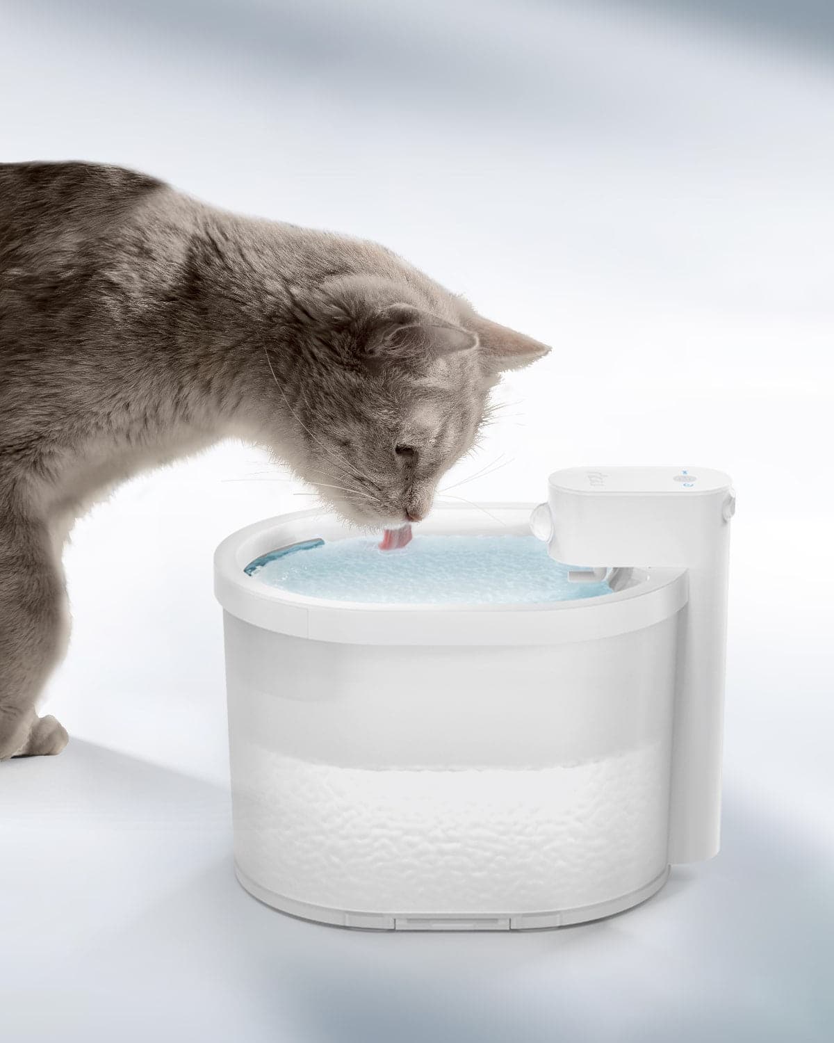 cat water bowl running water manufacturing details