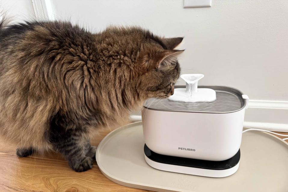 cat water fountain reviews manufacturing details