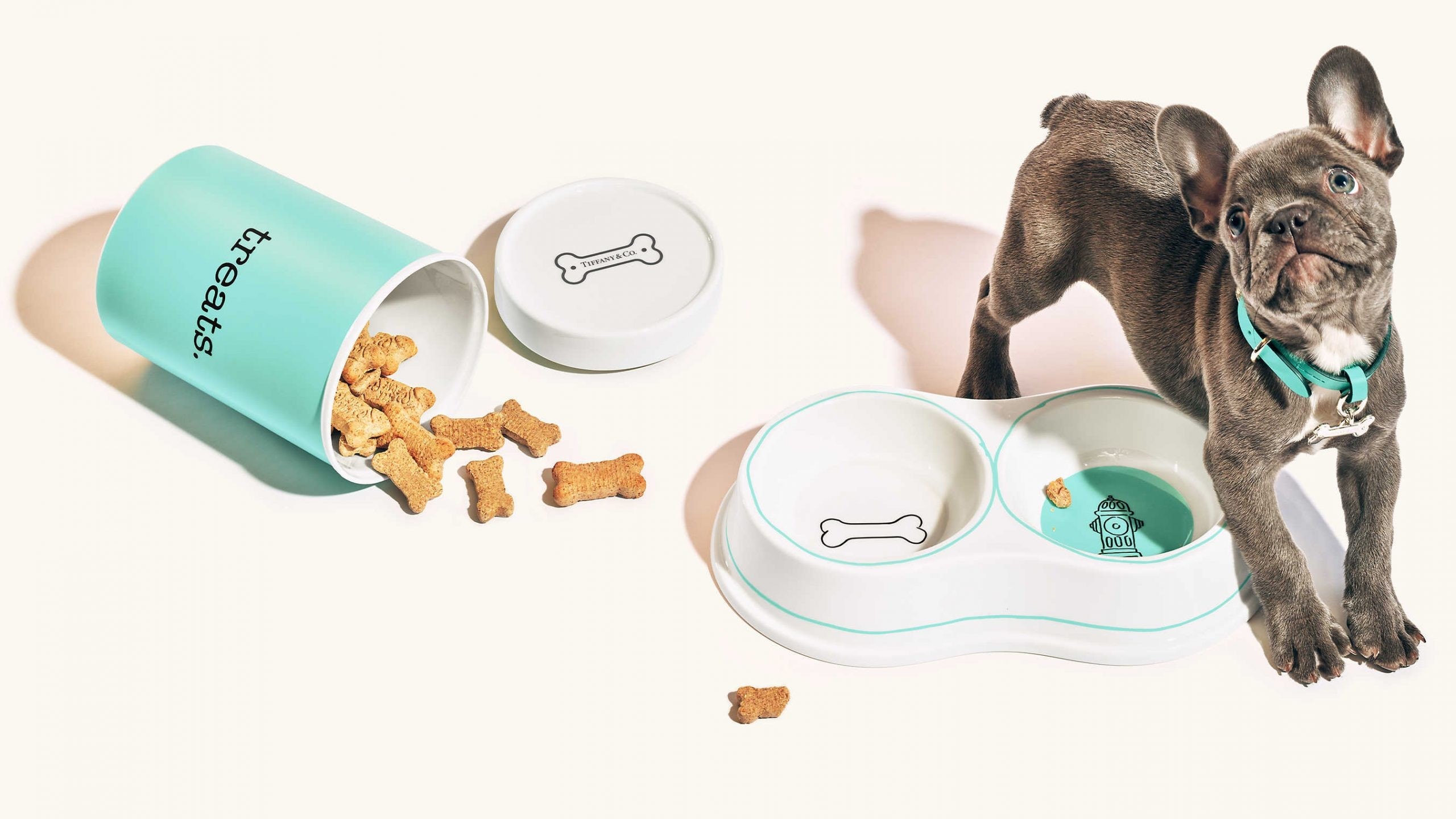china pet products manufacturing details