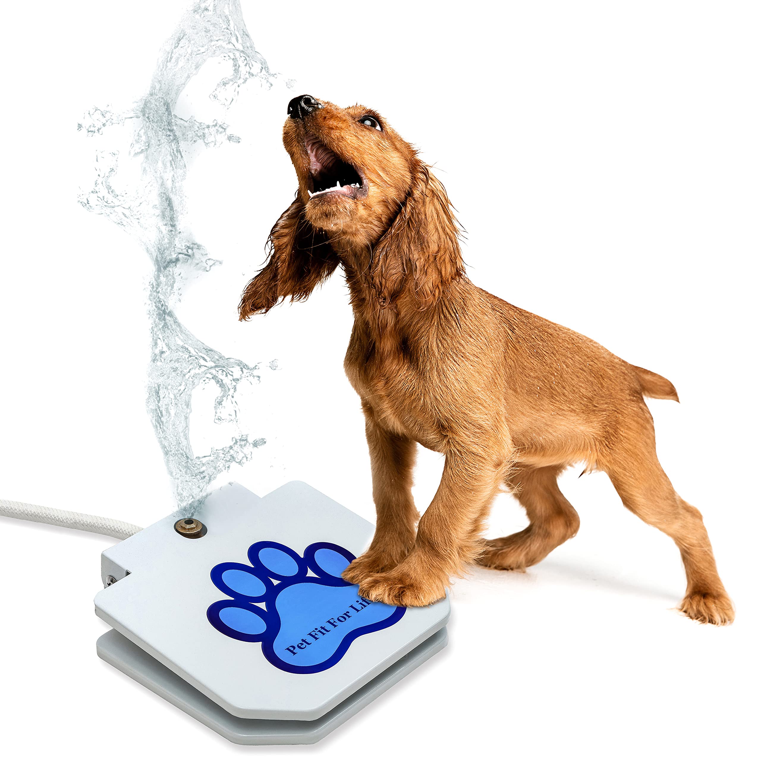 dog pedal water fountain manufacturing details