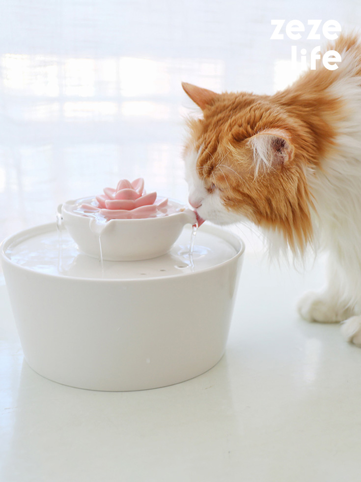 fountain cat water bowl manufacturing details