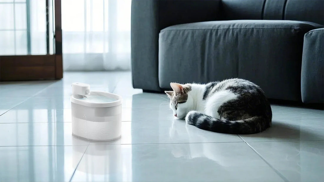 home made cat water fountain OEM Manufacturer