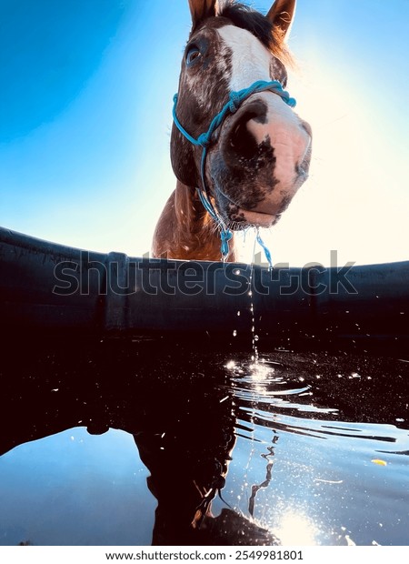 horse trough fountain manufacturing details