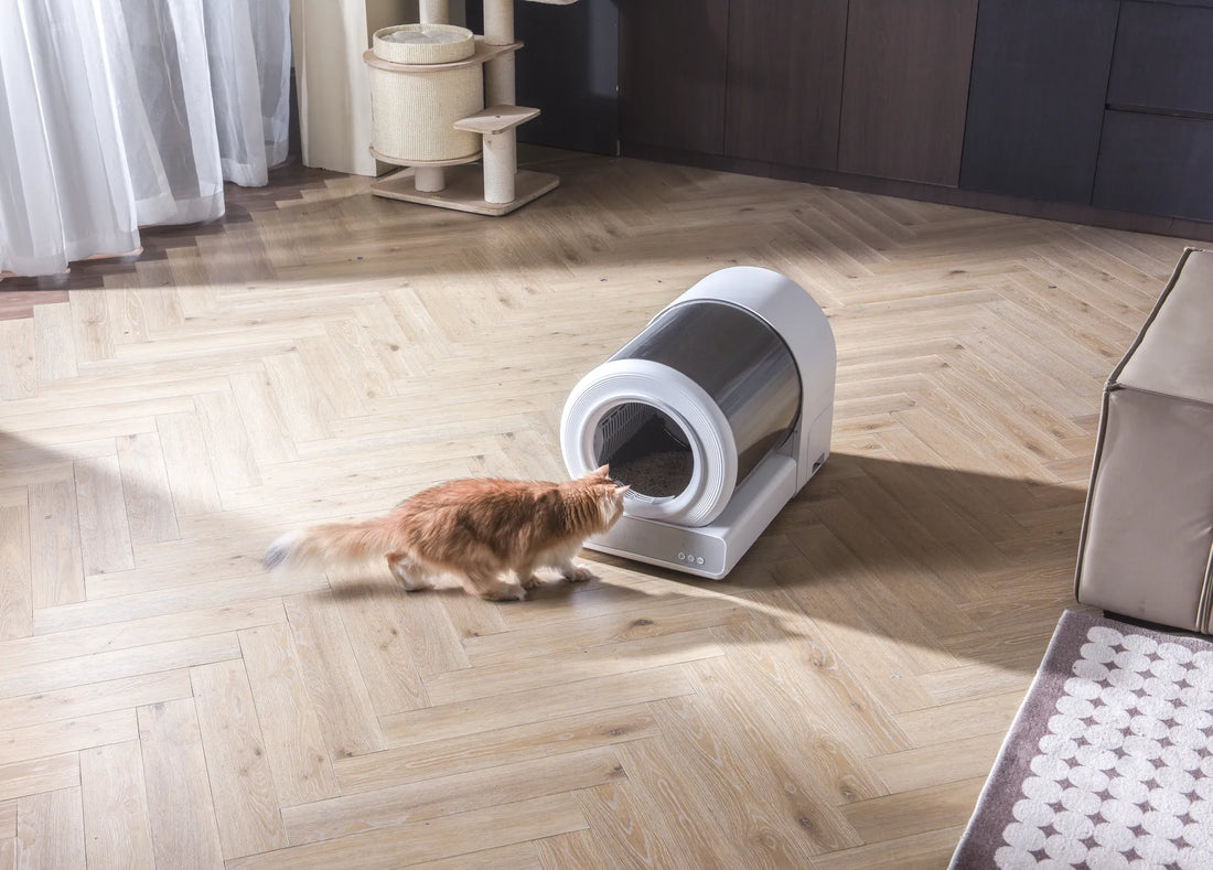 how big should litter box be manufacturing details