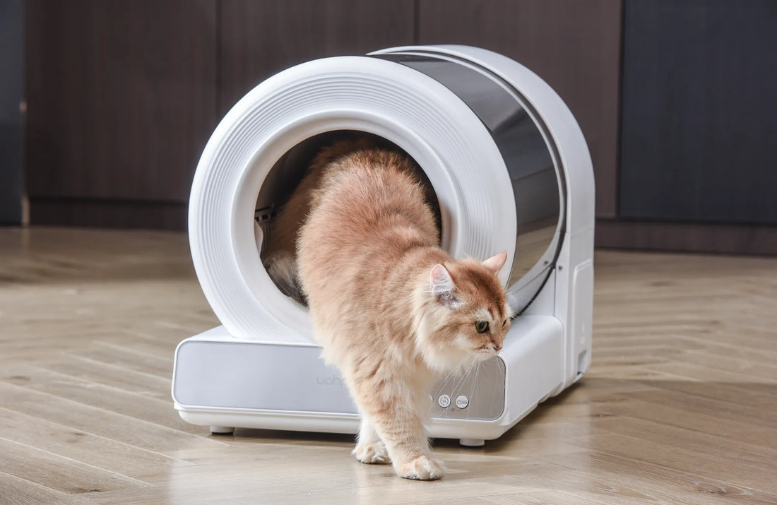 how often change cat litter box manufacturing details