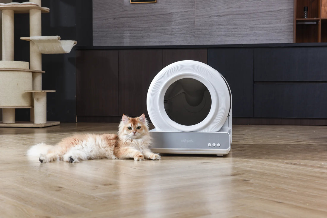 how often does a cat use the litter box manufacturing details