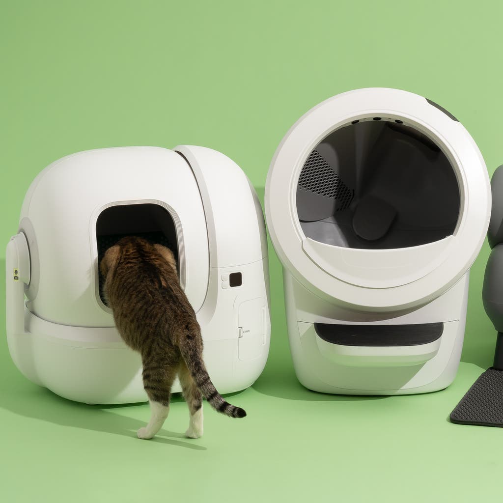 how often should cats use the litter box manufacturing details