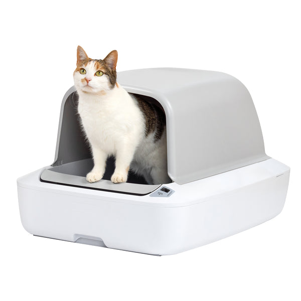 innovative cat litter box manufacturing details