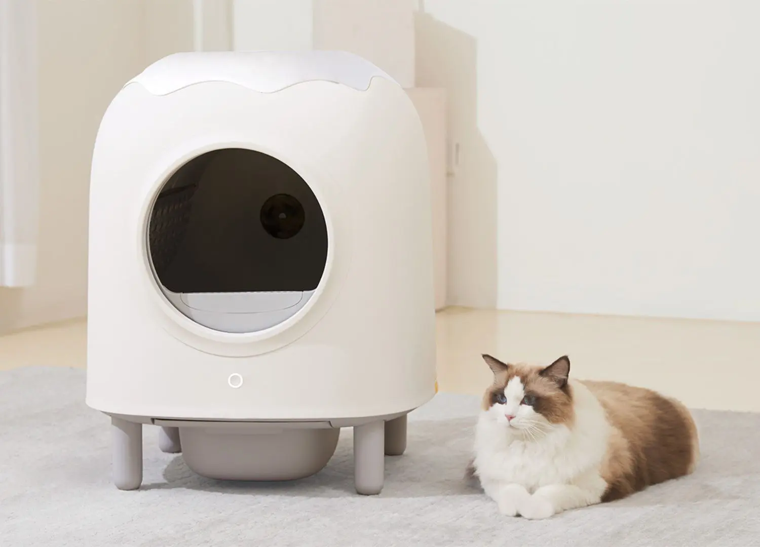 innovative cat litter box oem manufacturing details
