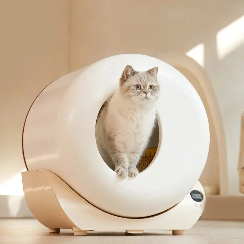 intelligent cat litter box manufacturing details