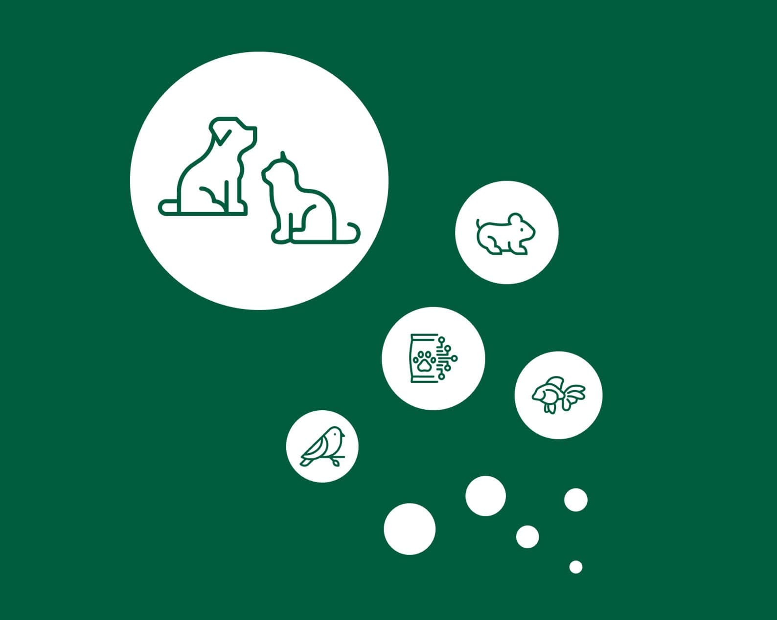 interzoo 2025 dates manufacturing details