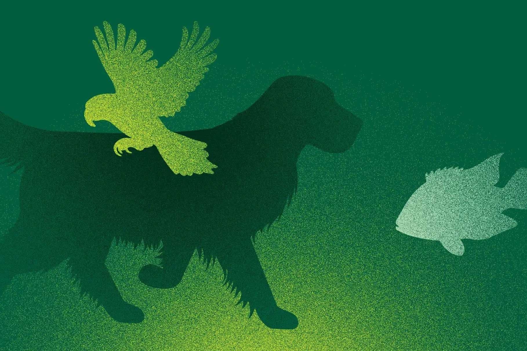 interzoo 2025 dates manufacturing details