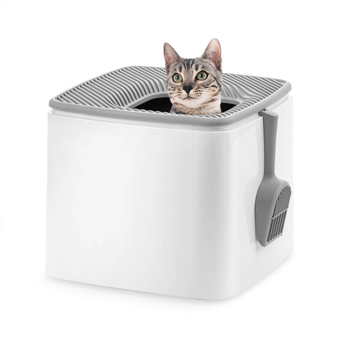 kitty litter manufacturers manufacturing details