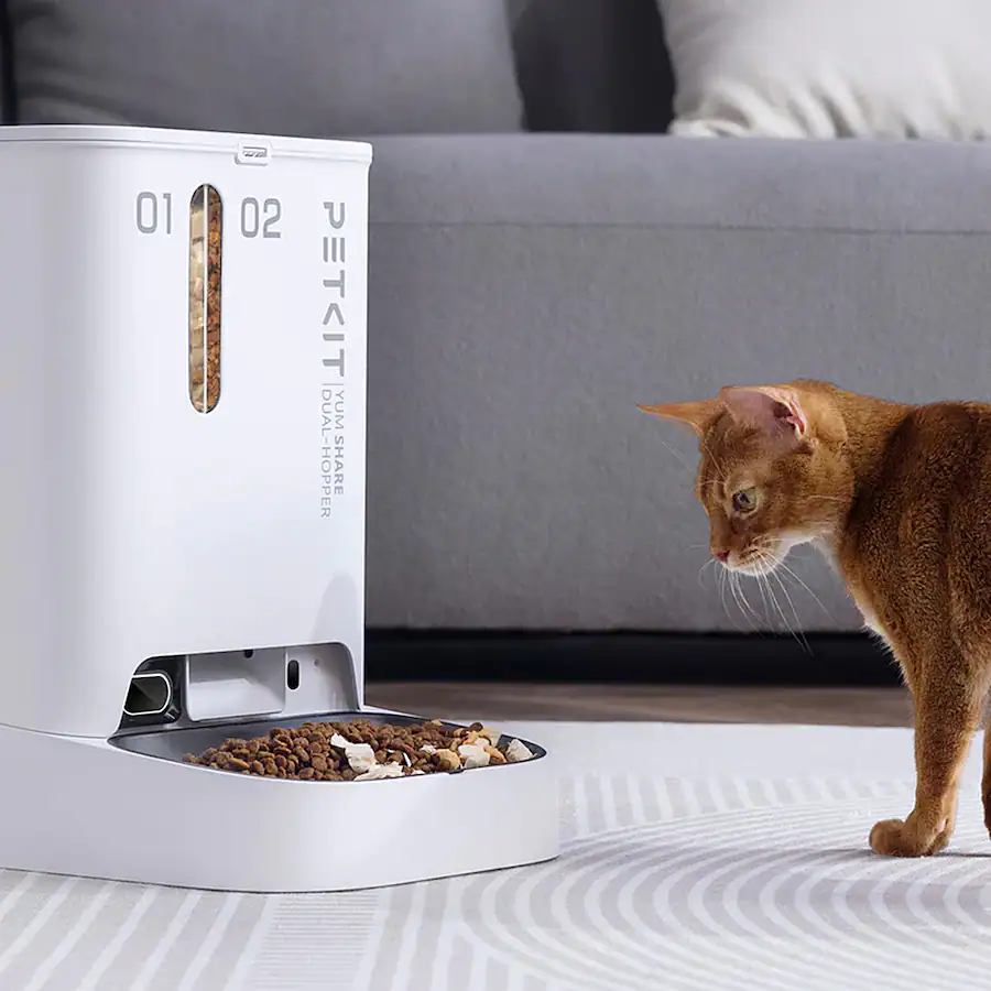large cat feeder manufacturing details
