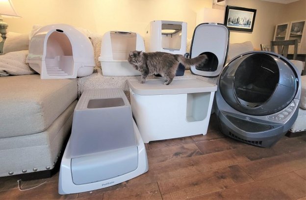 litter box that dogs can't get in manufacturing details