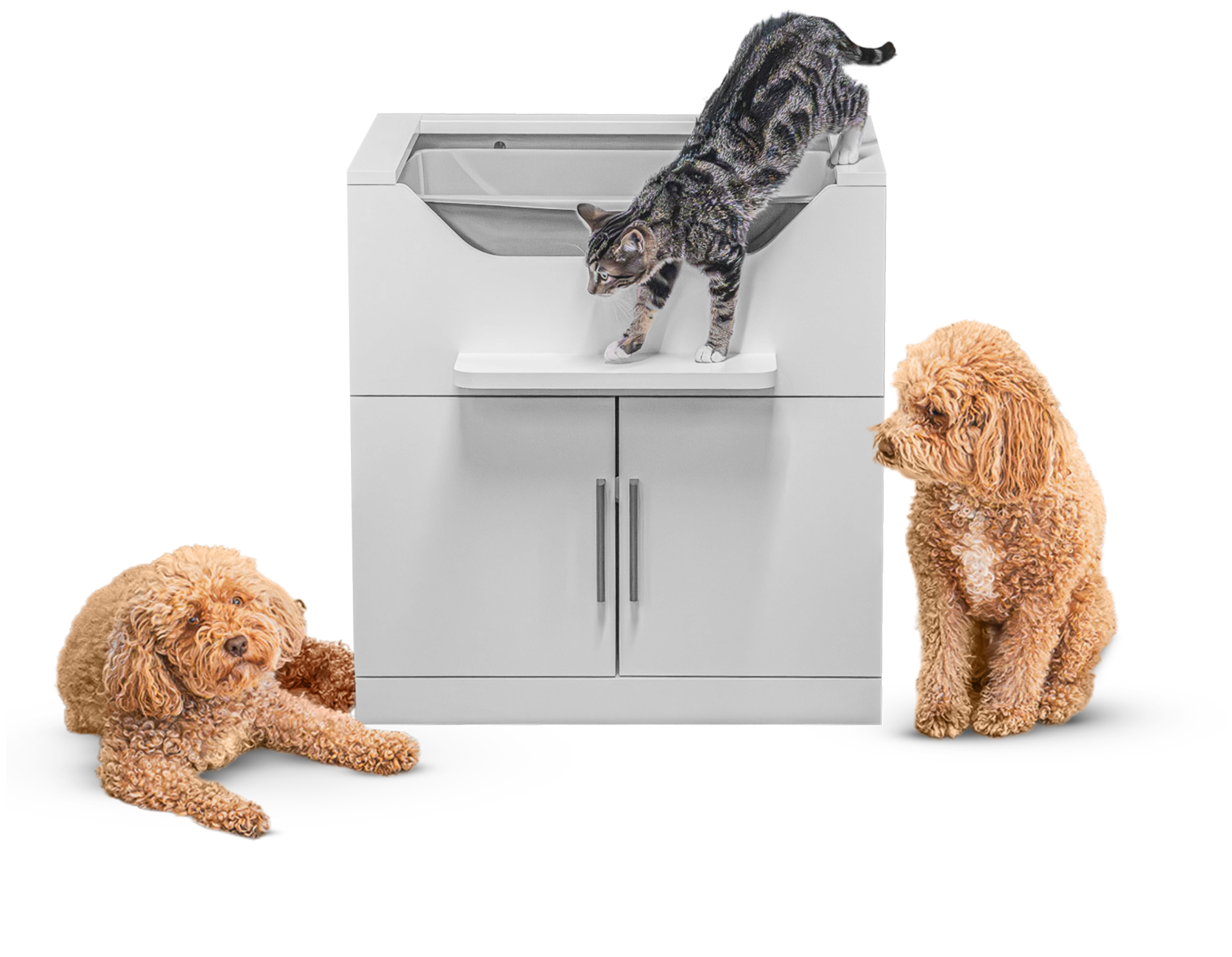 litter box to keep dog out manufacturing details