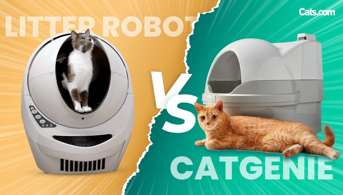 litter robot vs cat genie OEM Manufacturer