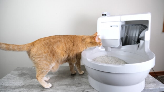 litter robot vs cat genie manufacturing details