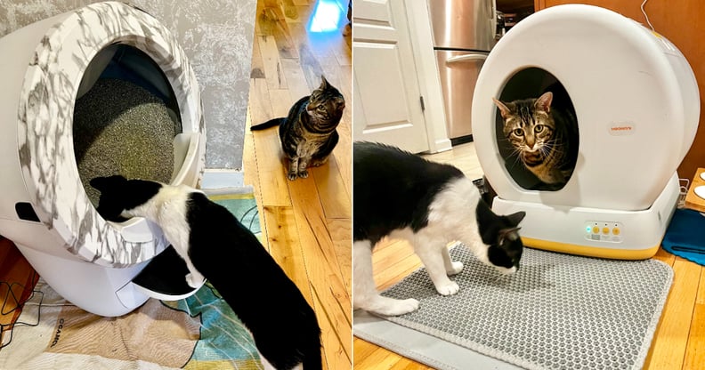 litter robot vs meowant manufacturing details