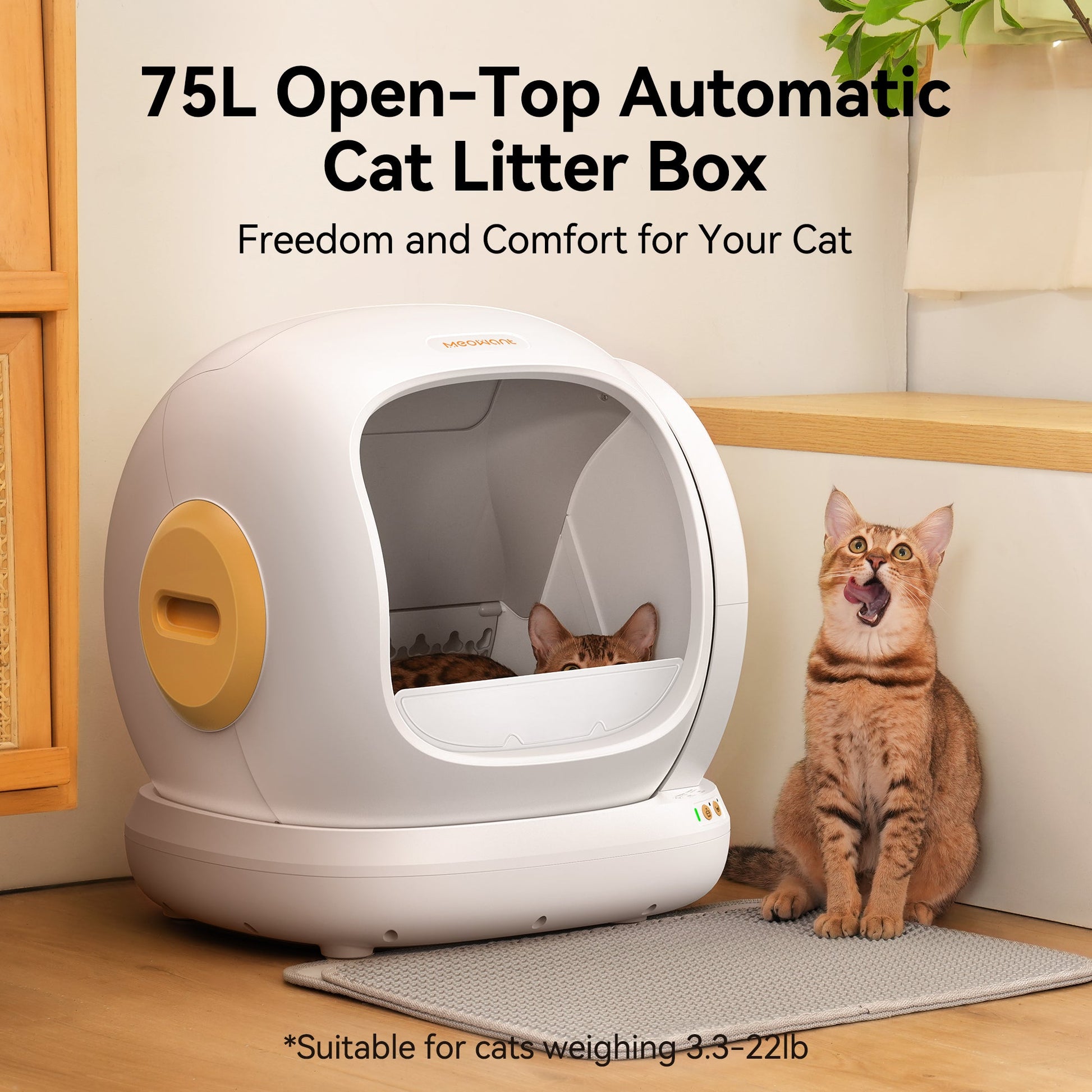meow cat litter box manufacturing details
