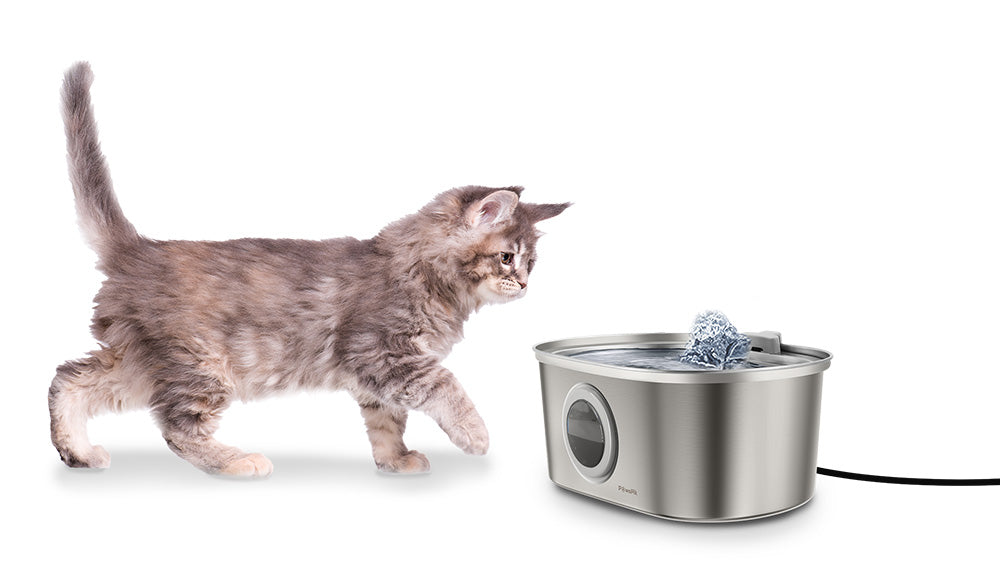 pet drinking fountain cat manufacturing details