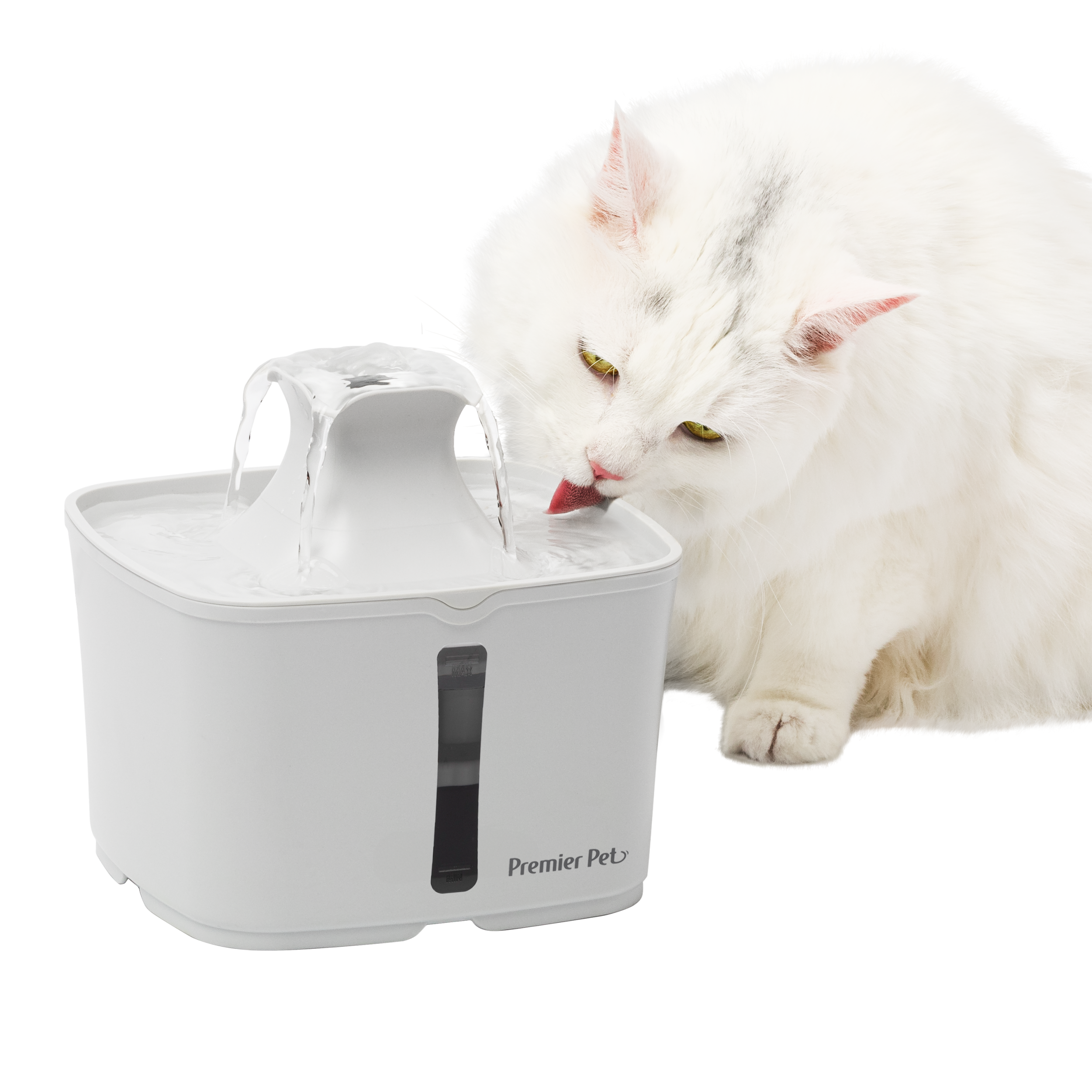 pet drinking fountain cat manufacturing details